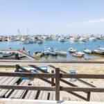 dock scoglitti